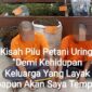 Pemilik ladang Ganja G (45) bersama J (19), Senin (3/11)