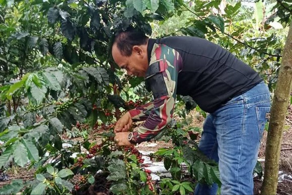 Jakaria SHut Praktisi Petani Kopi yang juga menjabat sebagai Kepala Dinas Perumahan & Permukiman Kabupaten Gayo Lues
