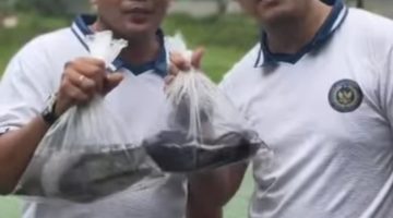 Lapas Binjai Berbagi Lele Gratis, Wujud Nyata Dukung Ketahanan Pangan Nasional